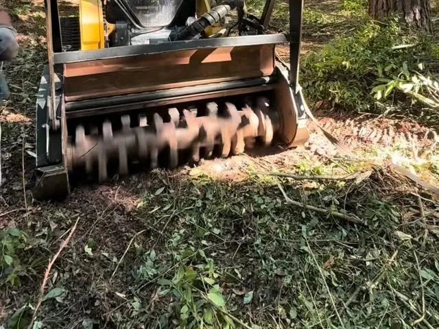 Forestry Mulching in Statesboro, GA