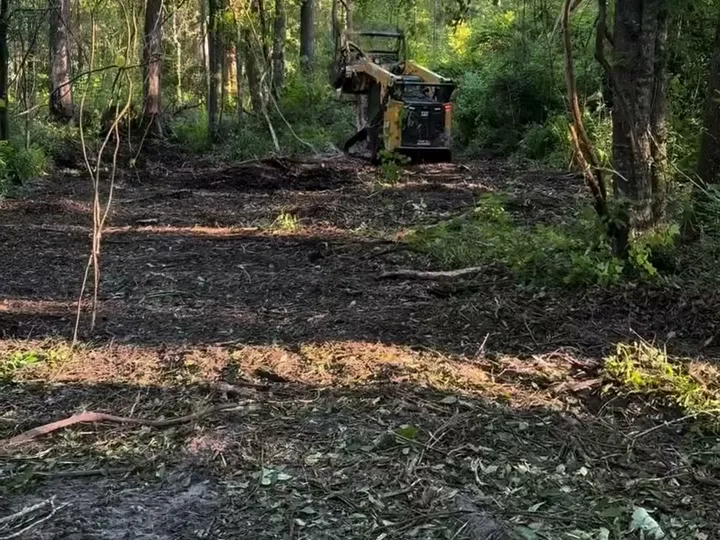 Hunting Land in Statesboro, GA