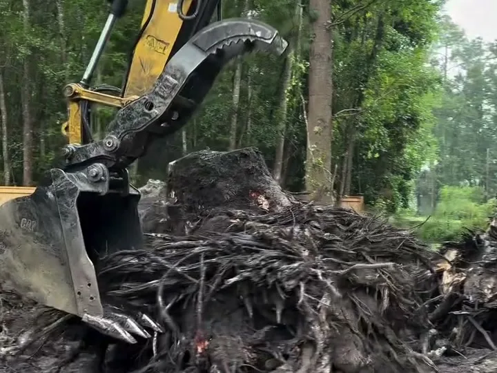 Stump Removal in Statesboro, GA