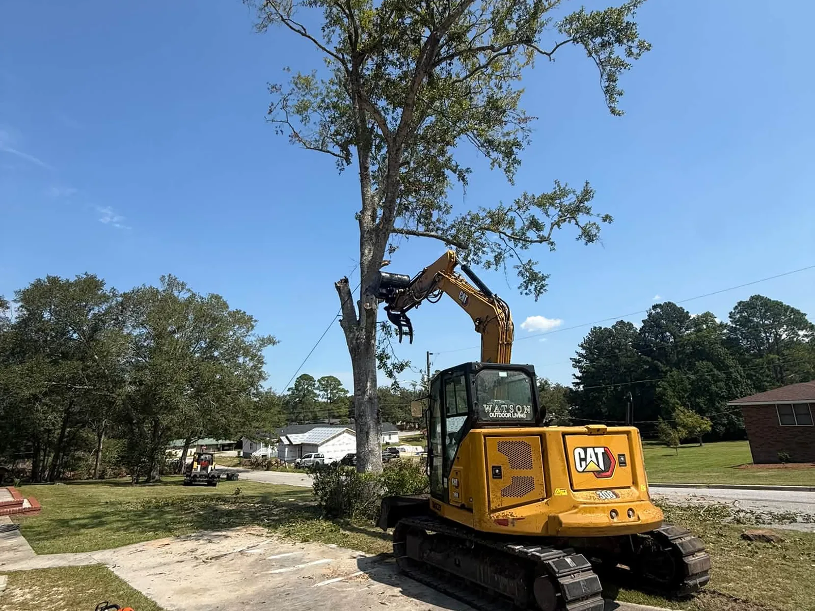 Tree Removal in Statesboro, GA