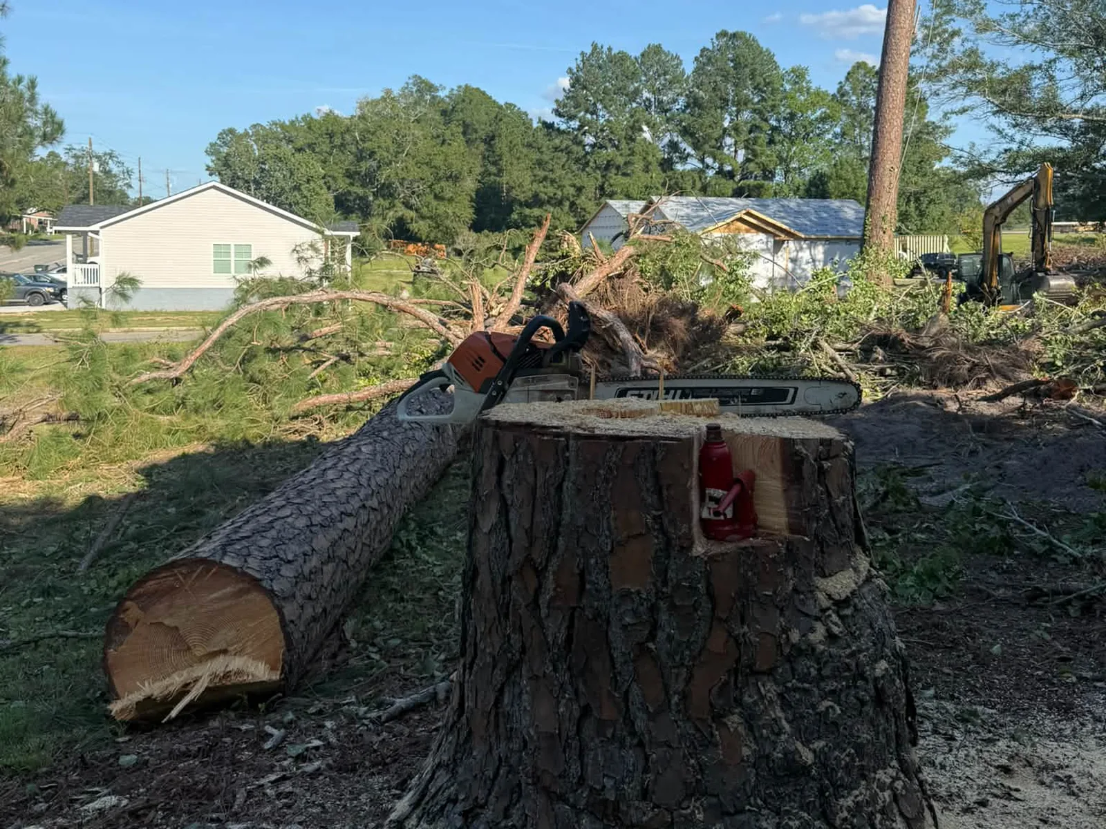 Felled pine log on a lawn with the chainsaw resting on the cut